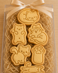 Kit Gatinhos