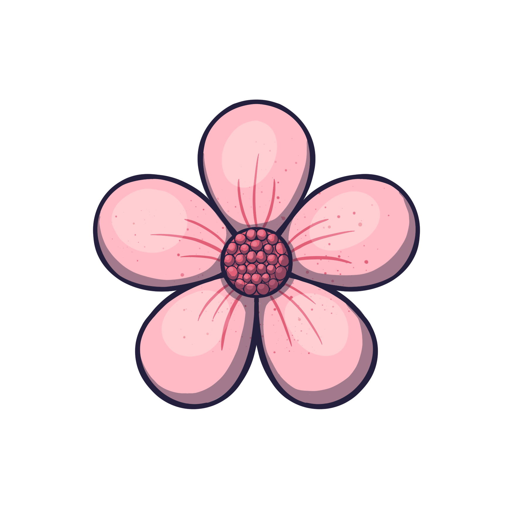 Flor Rosa Carolina - foto 1