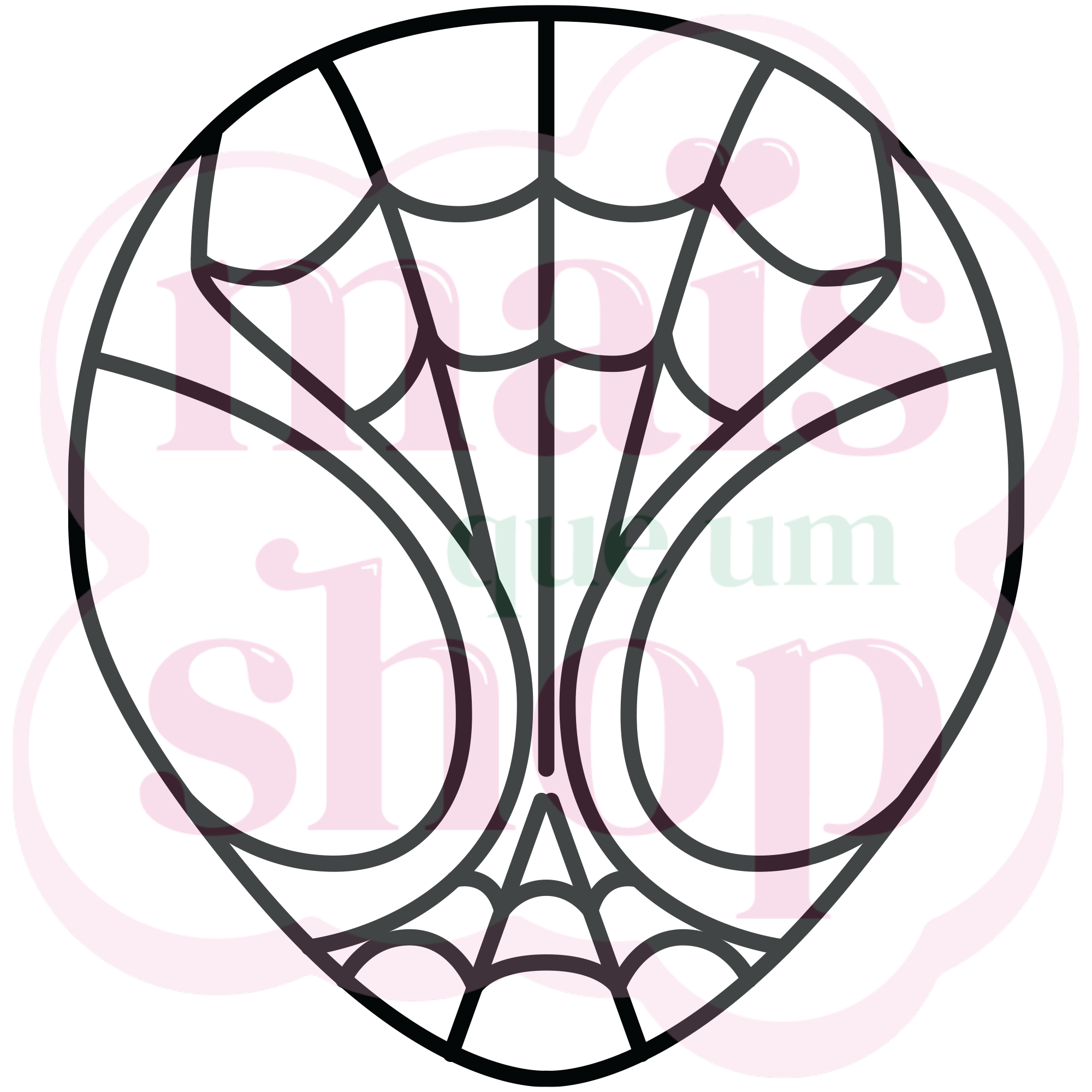 Homem Aranha