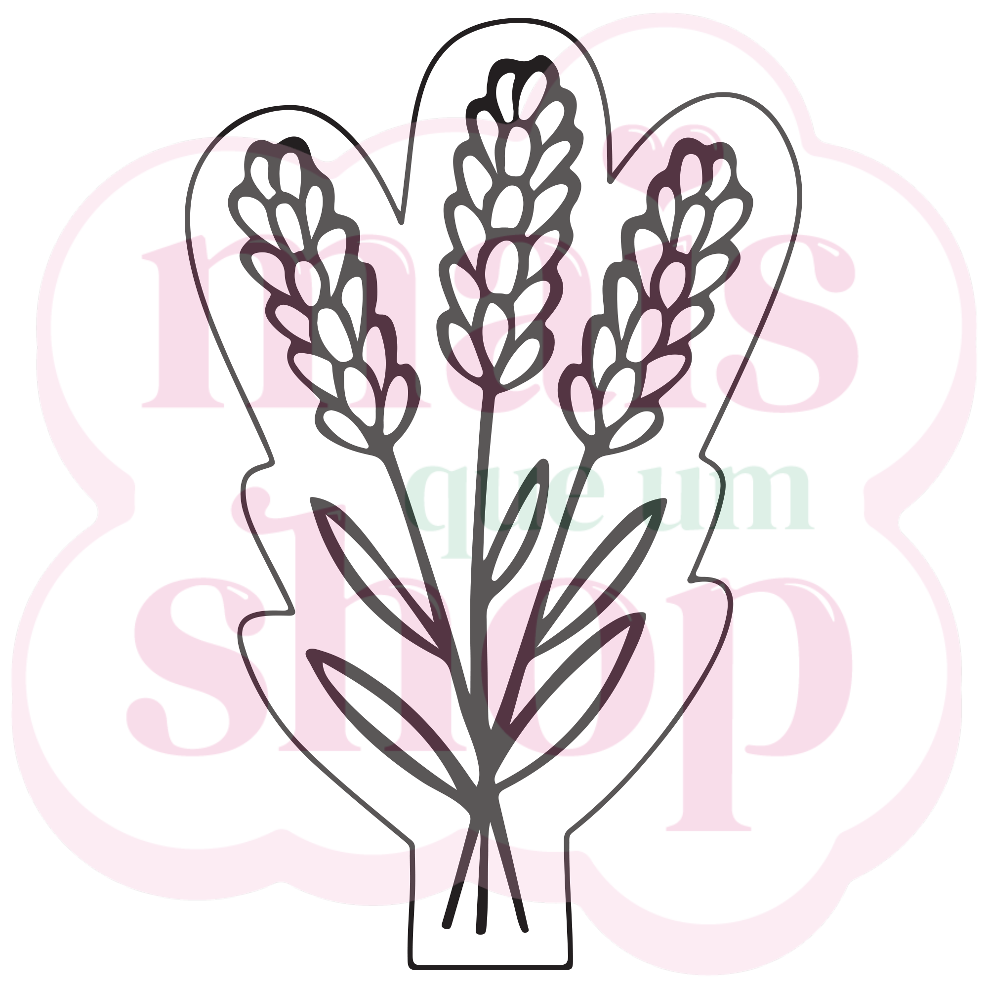 Lavanda